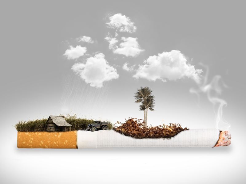 Zeliščna cigareta – trojanski konj tobačne industrije