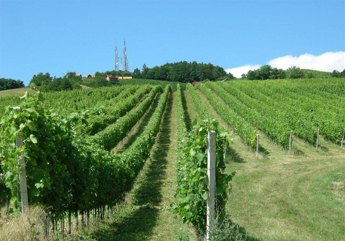 Pokrajina pri Sremiču. Vir slike: www.geago.si Pokrajina pri Sremiču. Vir slike: www.geago.si