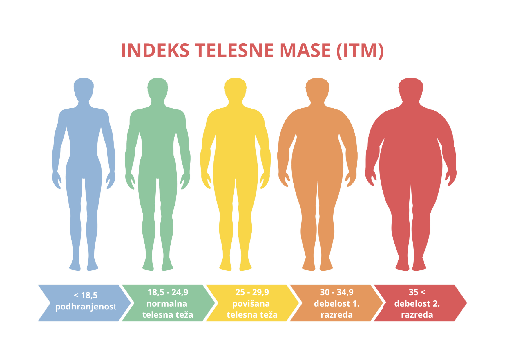 Индекс массы тела. Ожирение. Стадии ожирения у женщин. Индекс массы тела (ИМТ).